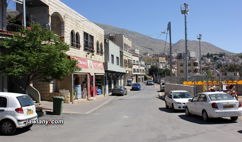 شارع الشهيد يوسف عماشة